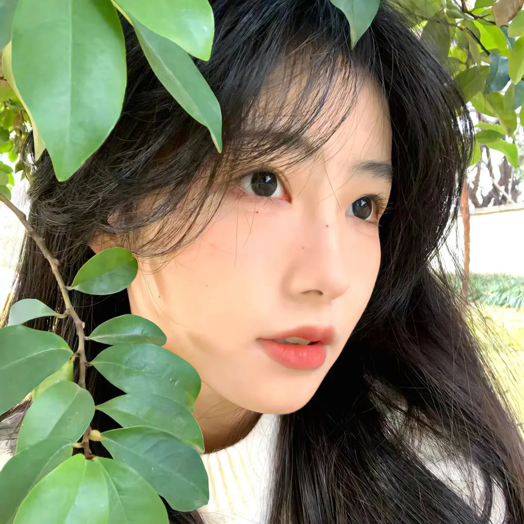 双生疑云